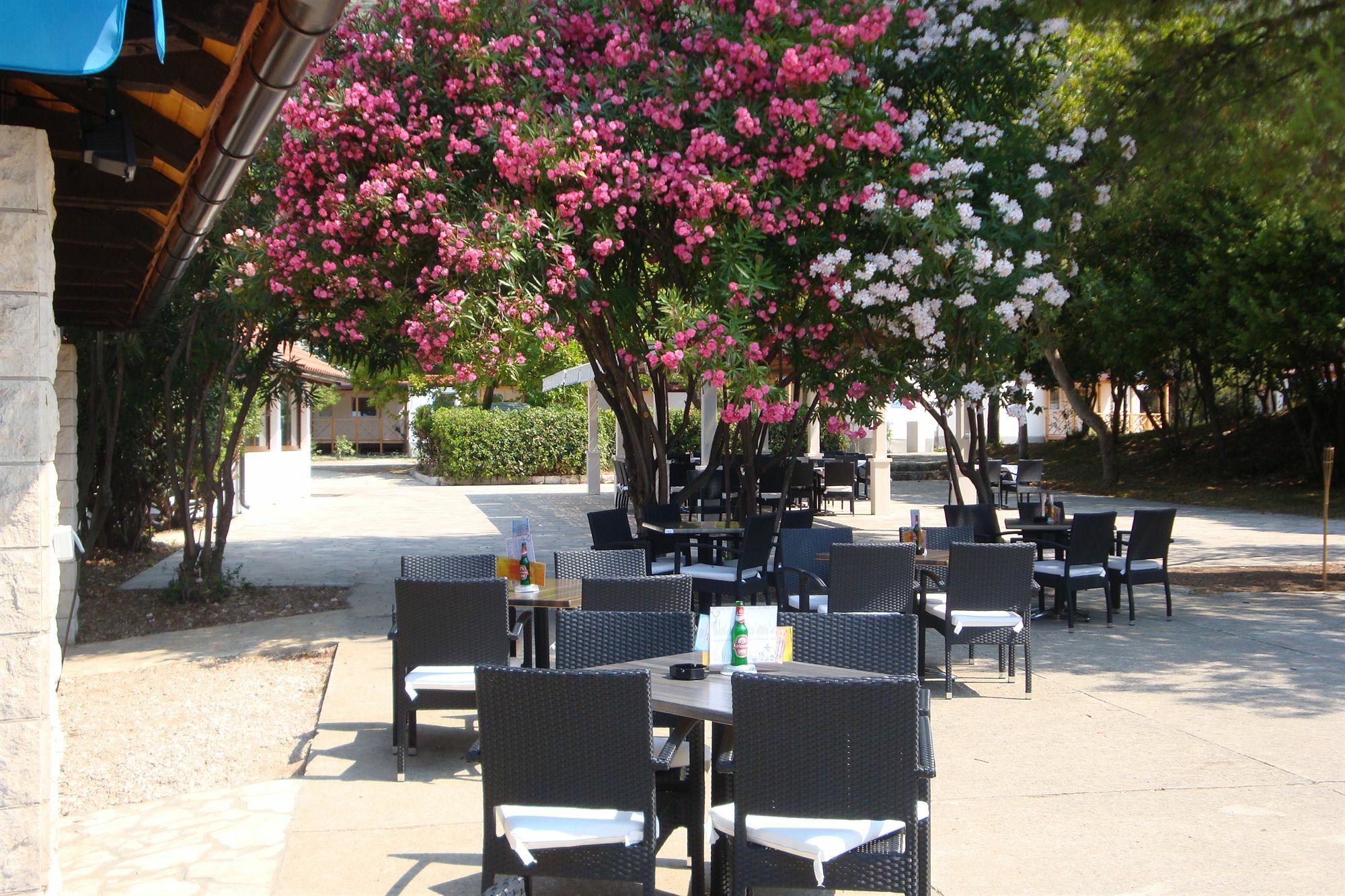 Camp Perna Hotel Kuciste Ngoại thất bức ảnh